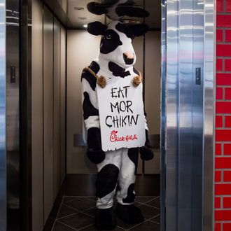 chick fil a cow sign