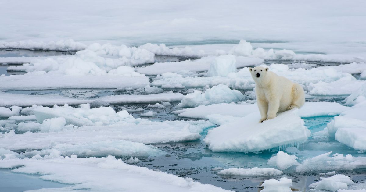 The North Pole Is Basically Hot Right Now