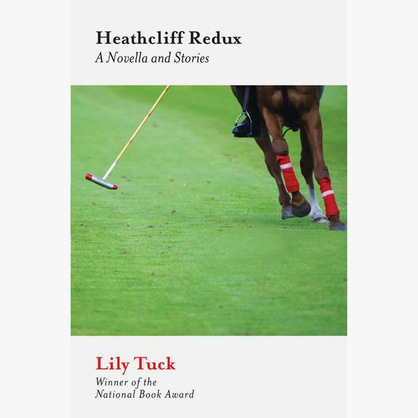 Heathcliff Redux: A Novella and Stories by Lily Tuck