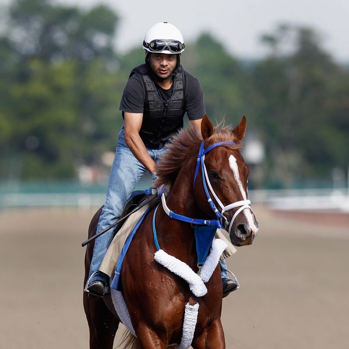 ELMONT, NY - JUNE 06: Guyana Star Dweej trains on the track in preparation for the 144th Belmont Stakes at Belmont Park on June 6, 2012 in Elmont, New York. (Photo by Rob Carr/Getty Images)