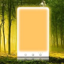 Wildaro 12,000 Lux Light Therapy Lamp