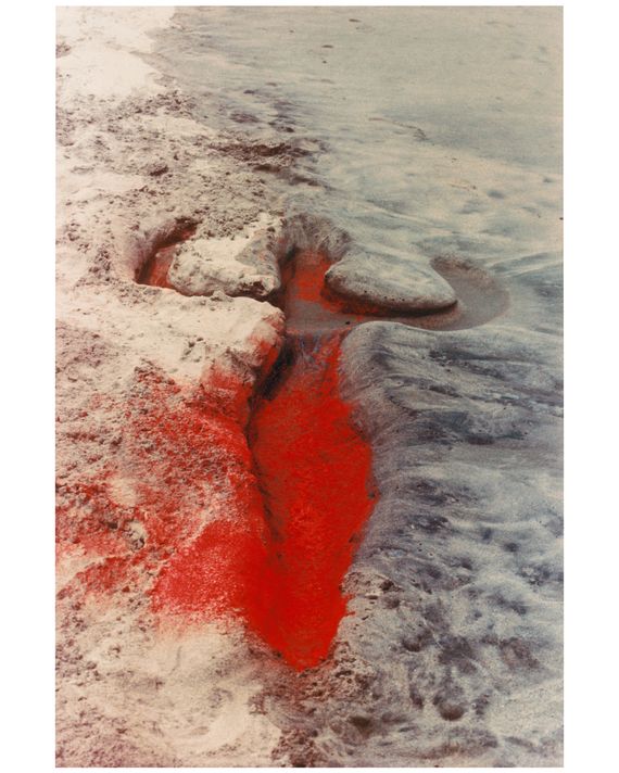 Ana Mendieta, Untitled, Silueta Series, Mexico, 1976.