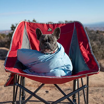 outdoor dog chair