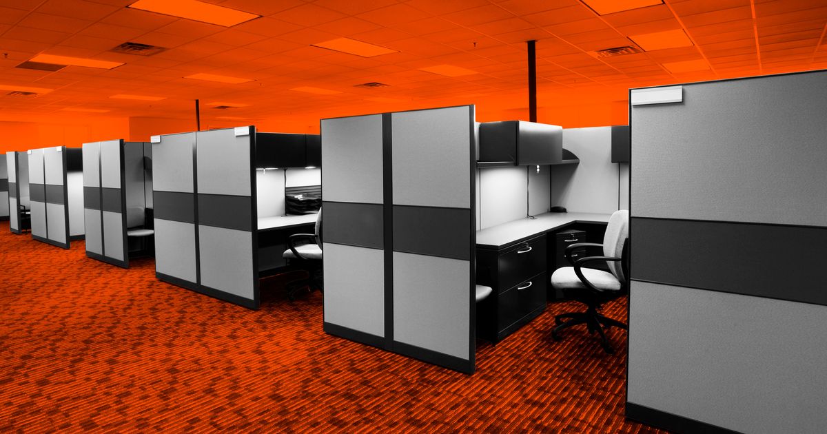 Six Municipal Workers On Returning to New York City Cubicles