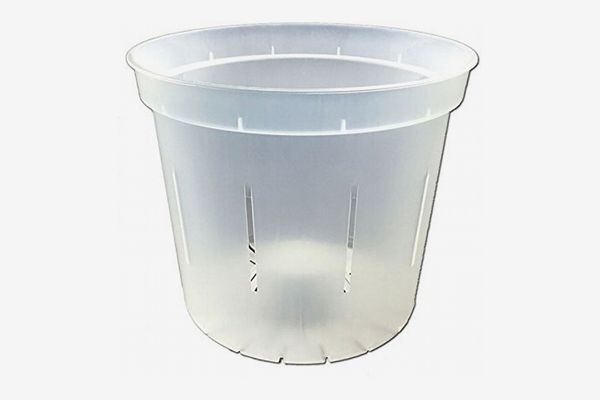 Clear Plastic Pot for Orchids 7 1//2 inch Diameter