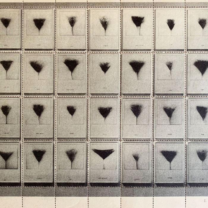 The Mystery of a Page of 36 Pube Stamps