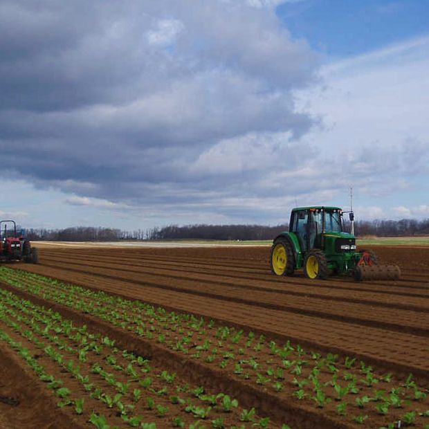 Farms matter, and farm matters.