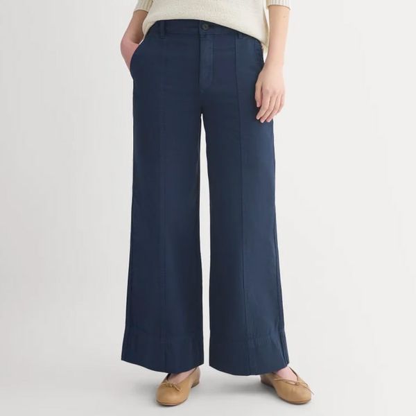 Everlane Seamed Wide-Leg Pant