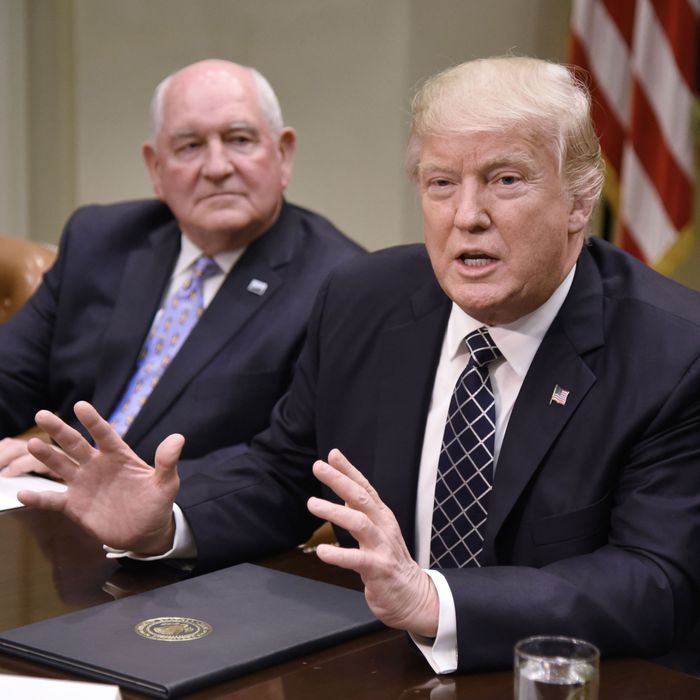 Donald speaks as Agriculture Secretary Sonny Perdue looks on during a roundtable with farmers.