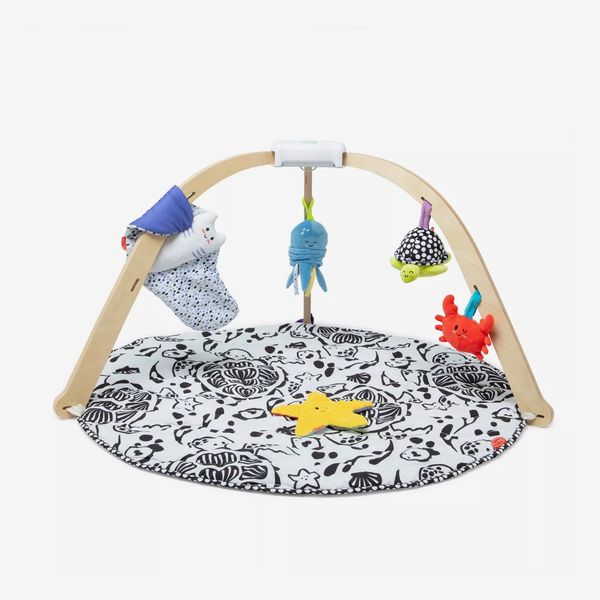 Melissa & Doug Ocean Oasis Easy Fold Play Gym