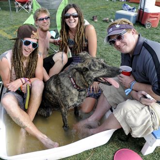 Atmosphere as Phish fans attend the first concert in a set of three Phish concerts at Dick's Sporting Goods Park on August 31, 2012 in Commerce City, Colorado. 