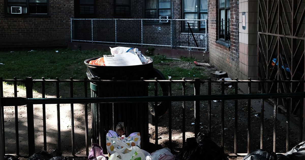 Ben Carson’s HUD Can’t Fix the NYC Housing Authority