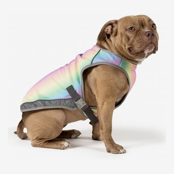Canada Pooch Chill Seeker Cooling Pet Vest (Rainbow)