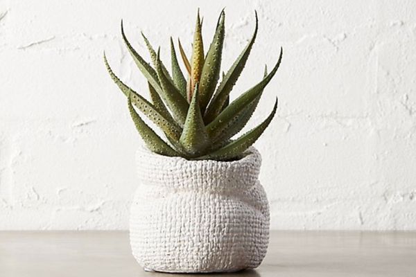 Potted 6” Faux Aloe Plant