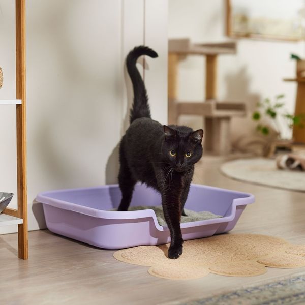 KittyGoHere Senior Cat Litter Box, Large