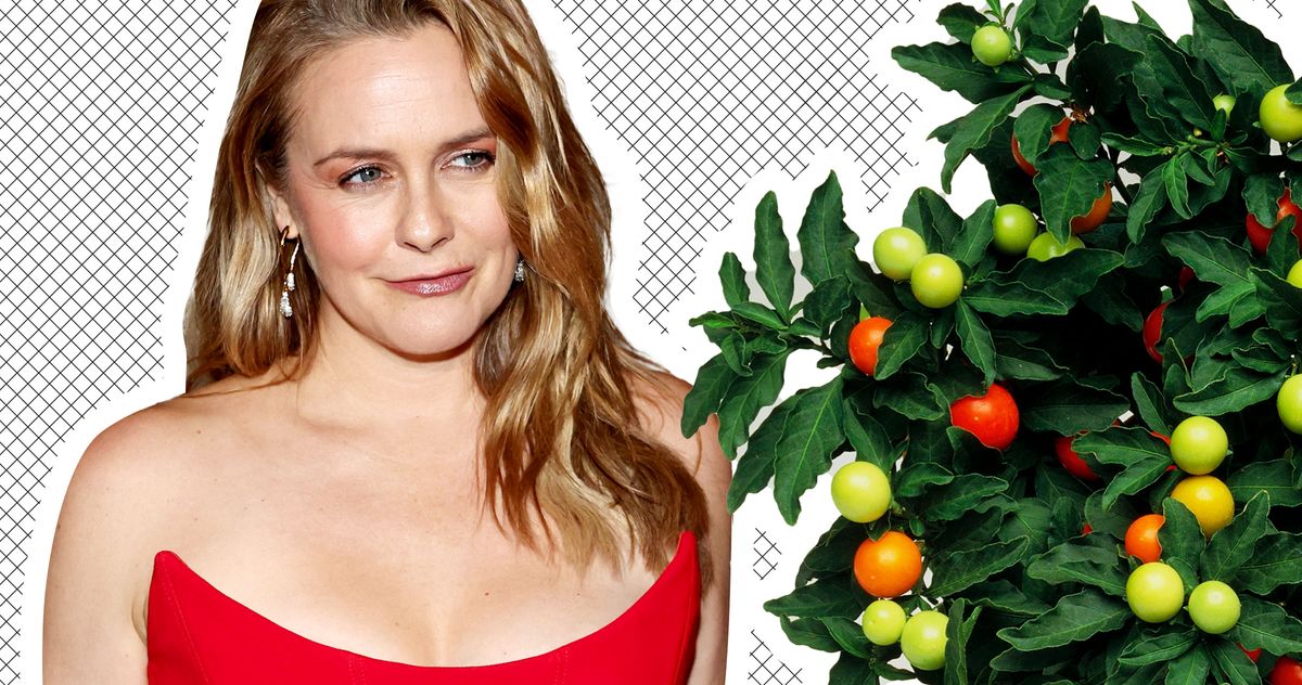 Did Alicia Silverstone eat a poisonous fruit on TikTok?