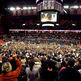 A general view as students and fans of the Virginia Cavaliers celebrate on the court following their game against the Duke Blue Devils at John Paul Jones Arena on February 28, 2013 in Charlottesville, Virginia. Virginia defeated Duke 73-68.