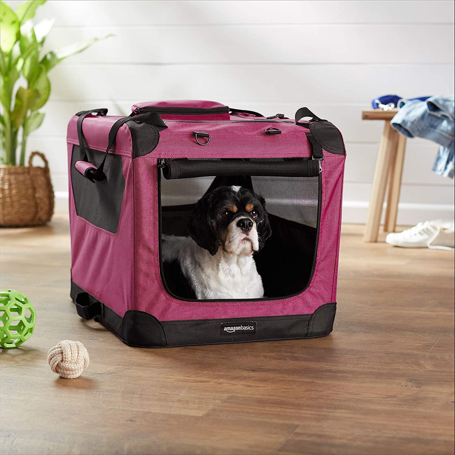 american kennel club carrier