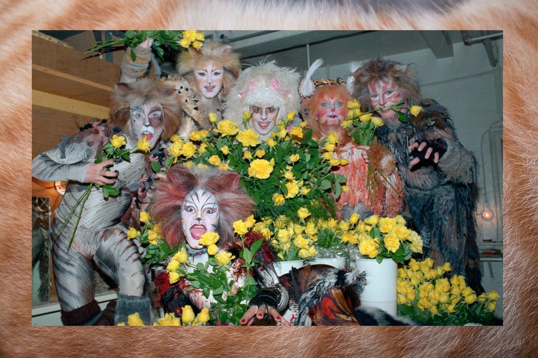 cats the musical makeup and costume