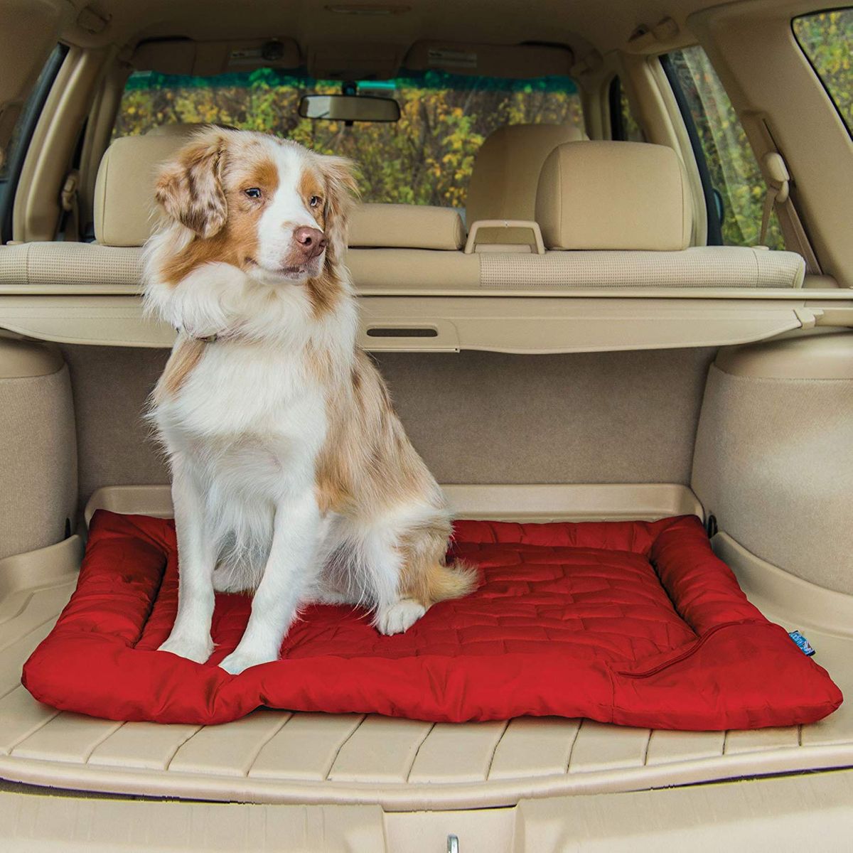 car cooler for dogs