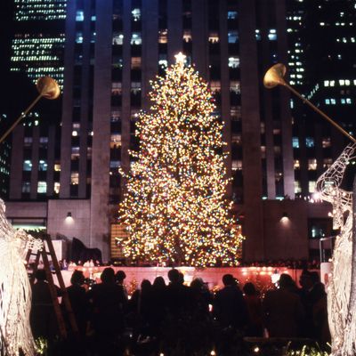 https://pyxis.nymag.com/v1/imgs/4bb/224/030abef878e8636887b37e5a2a0ec49000-christmas-lights.rsquare.w400.jpg