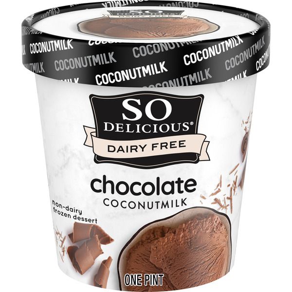 So Delicious Dairy Free Chocolate Coconutmilk Non Dairy Frozen Dessert
