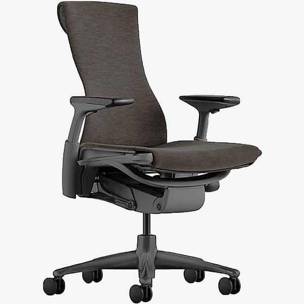 Herman Miller Embody Chair