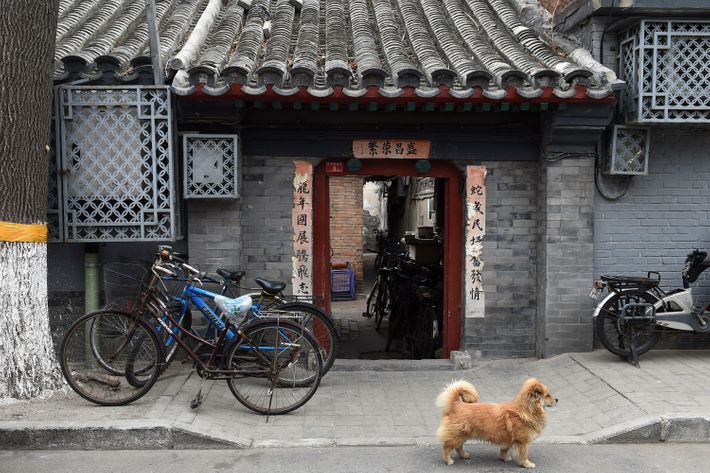 House Tour: A Small Shared Beijing Hutong Home