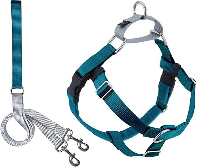 Best dog harness 2018 best sale