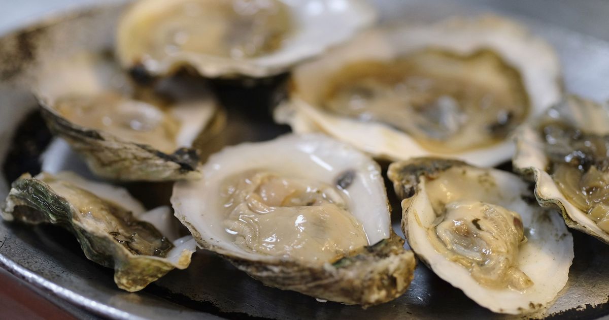 Climate Change Is Infecting Oysters with Deadly Bacteria