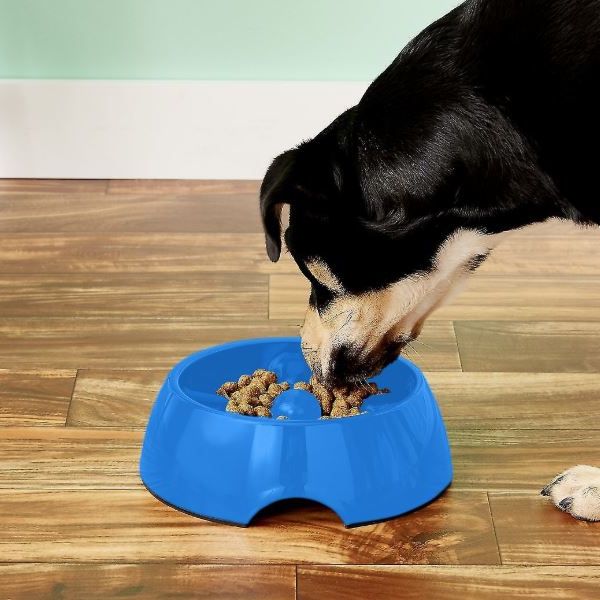 Dogit Go Slow Anti-Gulping Dog Bowl
