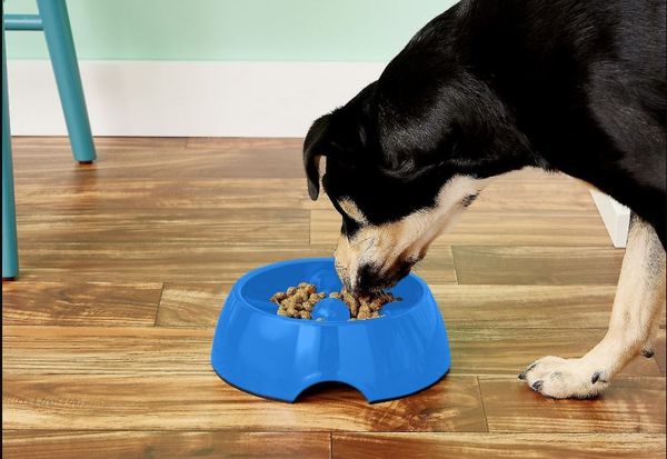 dog feeding puzzle