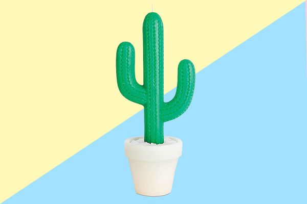 Sunnylife Cactus Scented Candle
