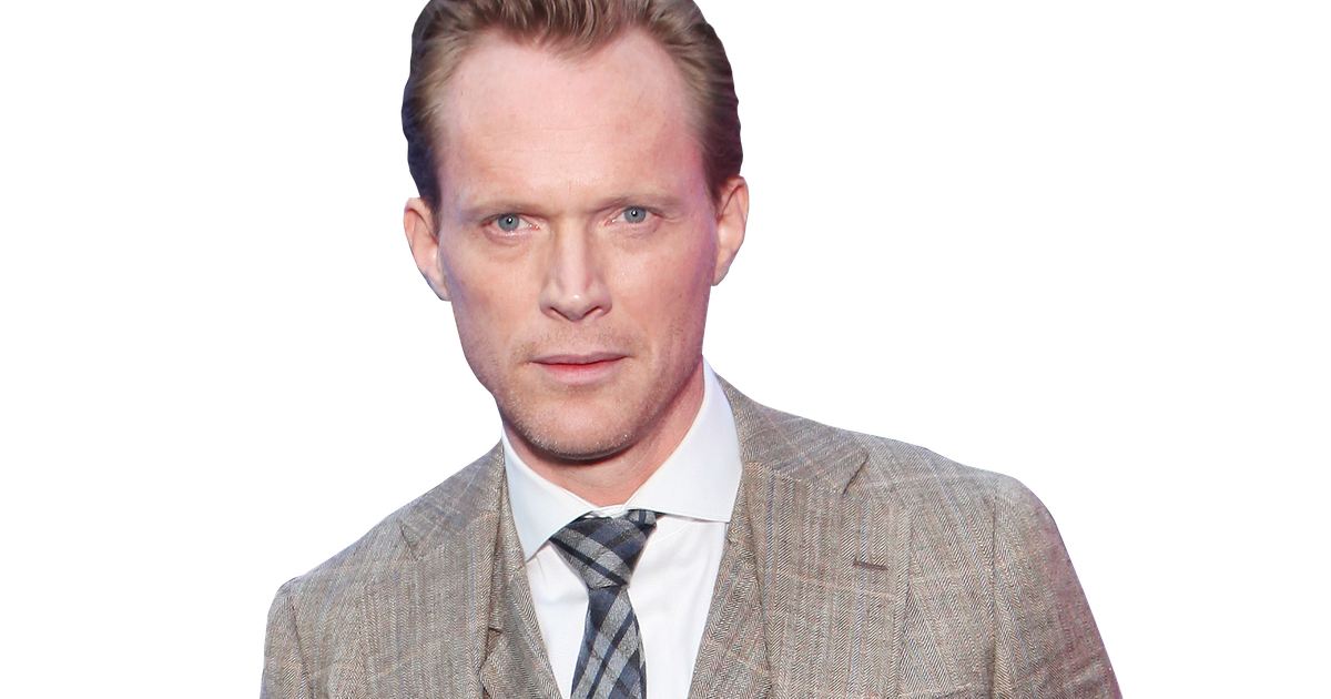 保羅·貝塔尼（Paul Bettany）復仇者聯盟：奧創紀元以及接下來要做什麼