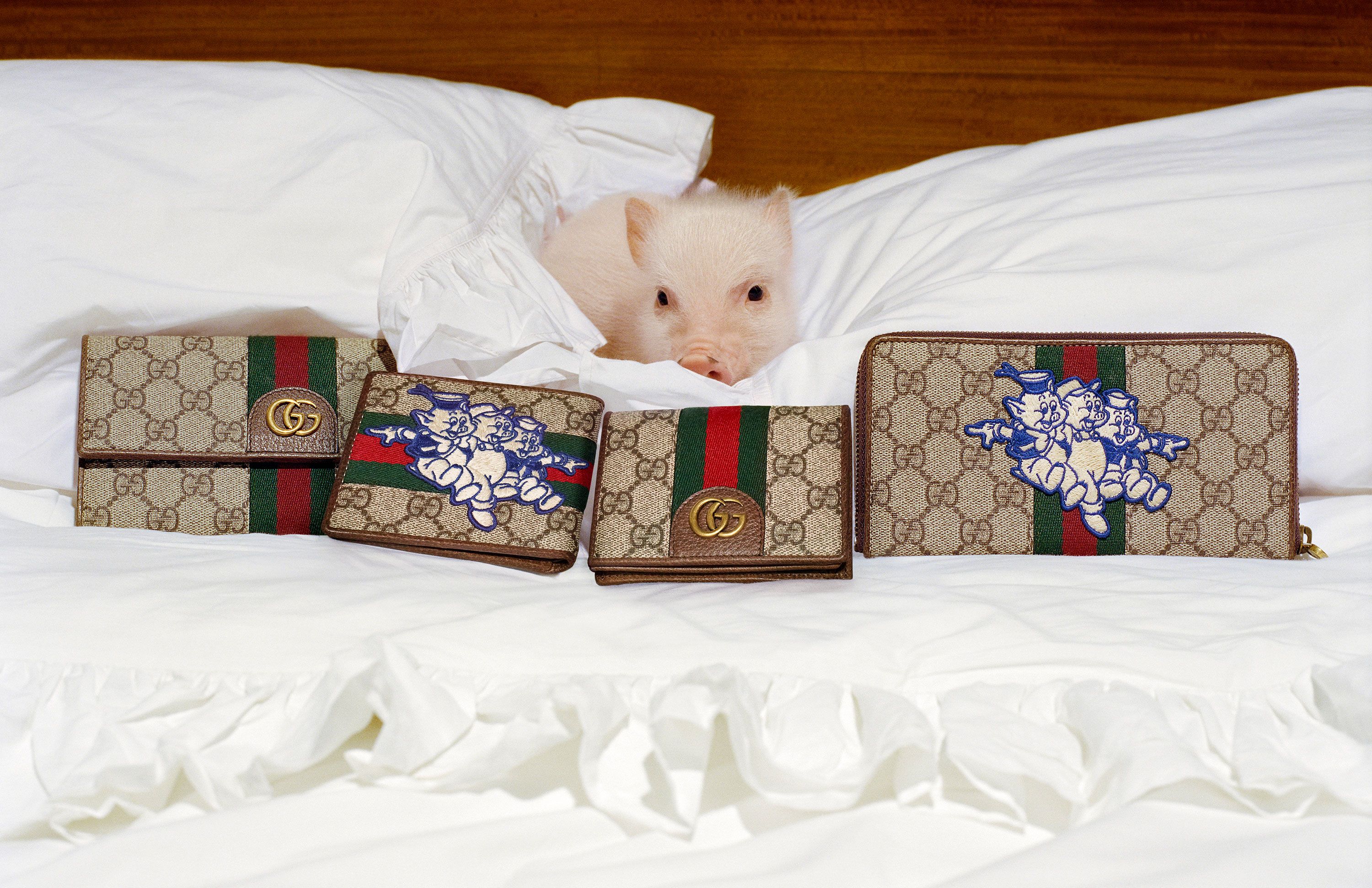 Gucci Releases Year of the Pig Collection, Lookbook
