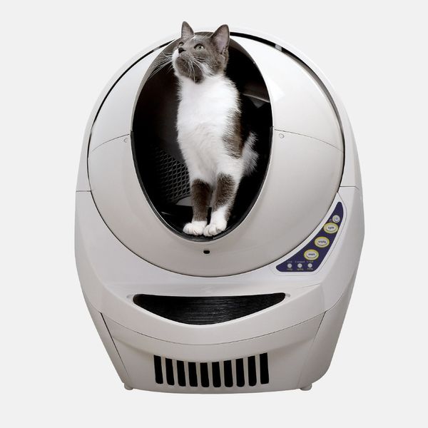 luxury gifts for cat lovers