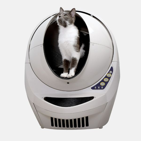 9 Best Litter Boxes for Cats 2019 | The Strategist | New York Magazine