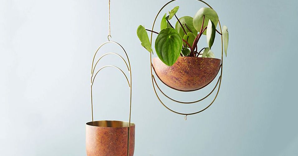 Hanging planter indoor plants