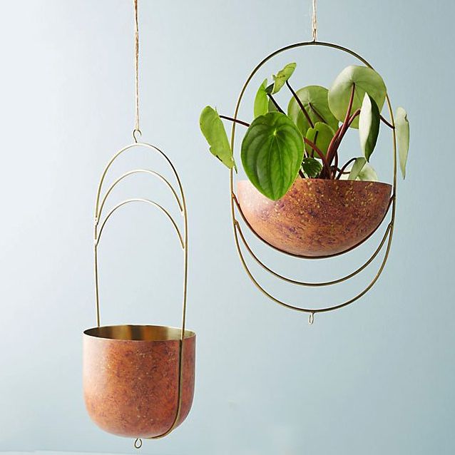 Best Hanging Plants And Planters The Strategist