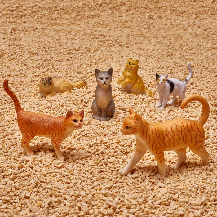 10 Best Cat Litters The Strategist