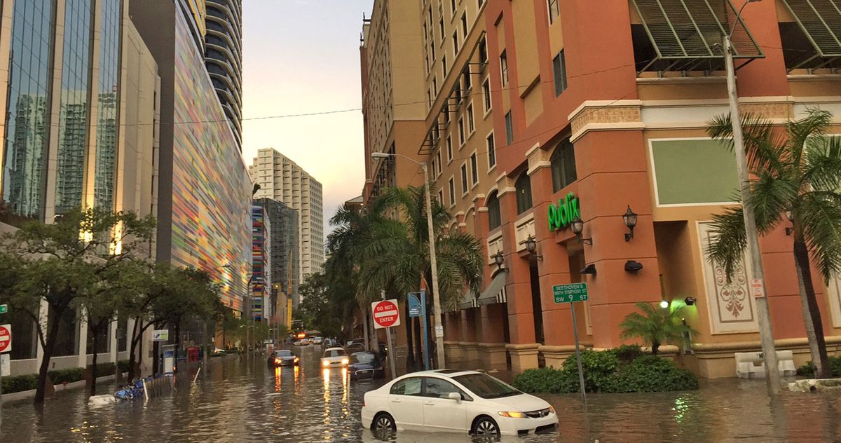Kế hoạch đào đường hầm ô tô của Elon Musk dưới Miami được lấp đầy bởi các lỗ