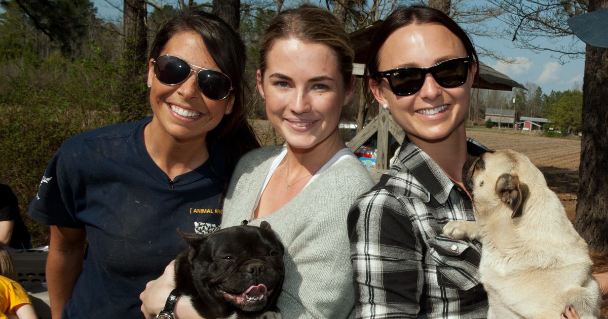 Bloomberg and Amanda Hearst Join Forces for Puppy Rescue Mission