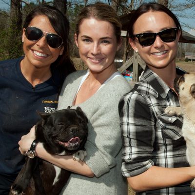 Ashley Mauceri, Deputy Manager, Animal Cruelty with The HSUS, Georgina Bloomberg and Amanda Hearst at the North Carolina puppy mill rescue.