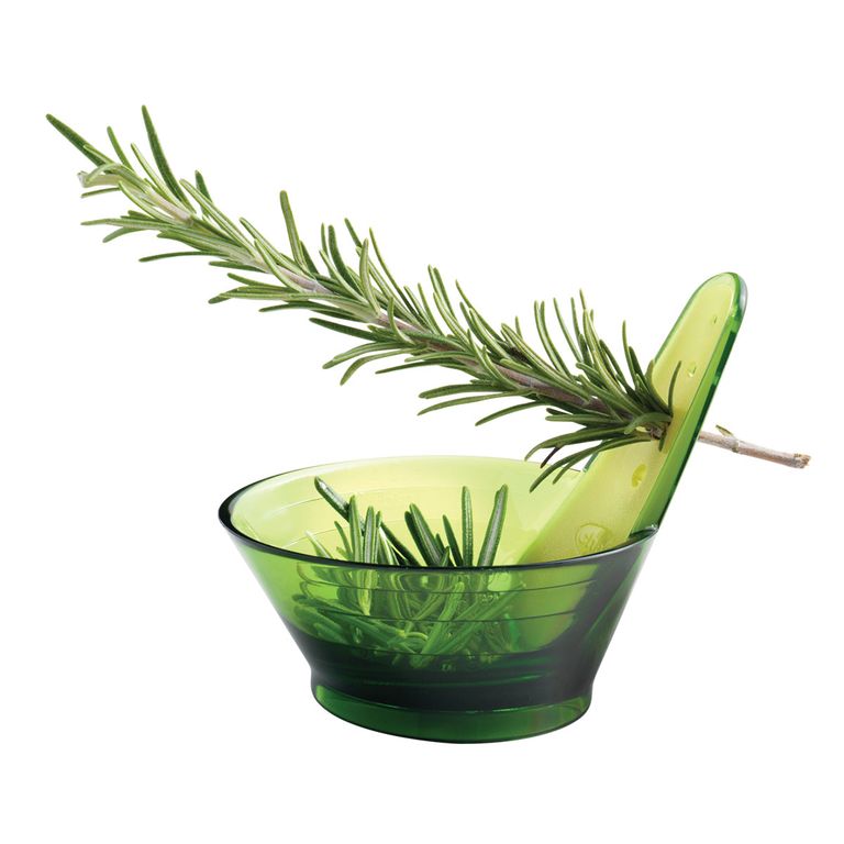 不同大小的孔,将lob rosemary, thyme, and tarragon leaves, respectively. Make sure to insert the stem root first.