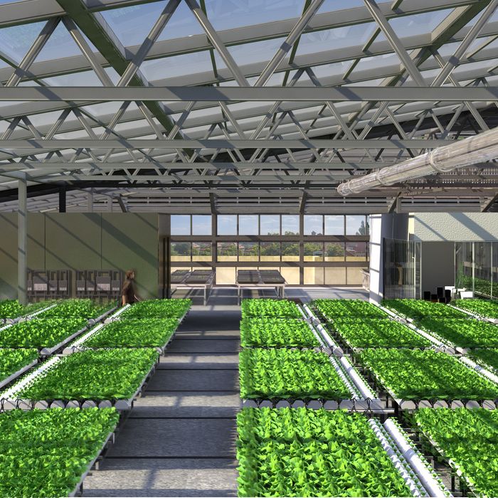 A rendering of the greenhouse.