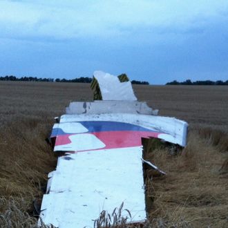 A picture taken on July 17, 2014 shows wreckages of the malaysian airliner carrying 295 people from Amsterdam to Kuala Lumpur after it crashed, in rebel-held east Ukraine. Pro-Russian rebels fighting central Kiev authorities claimed on Thursday that the Malaysian airline that crashed in Ukraine had been shot down by a Ukrainian jet. 