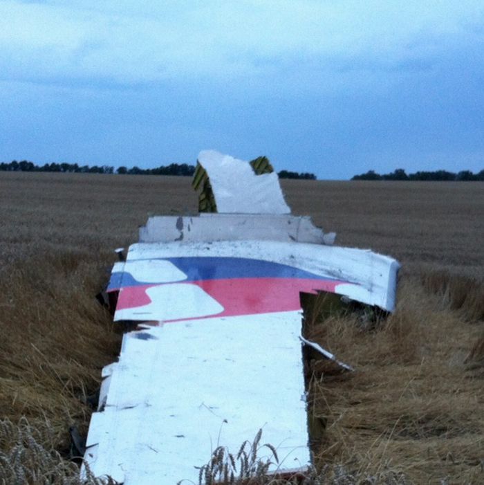 A picture taken on July 17, 2014 shows wreckages of the malaysian airliner carrying 295 people from Amsterdam to Kuala Lumpur after it crashed, in rebel-held east Ukraine. Pro-Russian rebels fighting central Kiev authorities claimed on Thursday that the Malaysian airline that crashed in Ukraine had been shot down by a Ukrainian jet. 