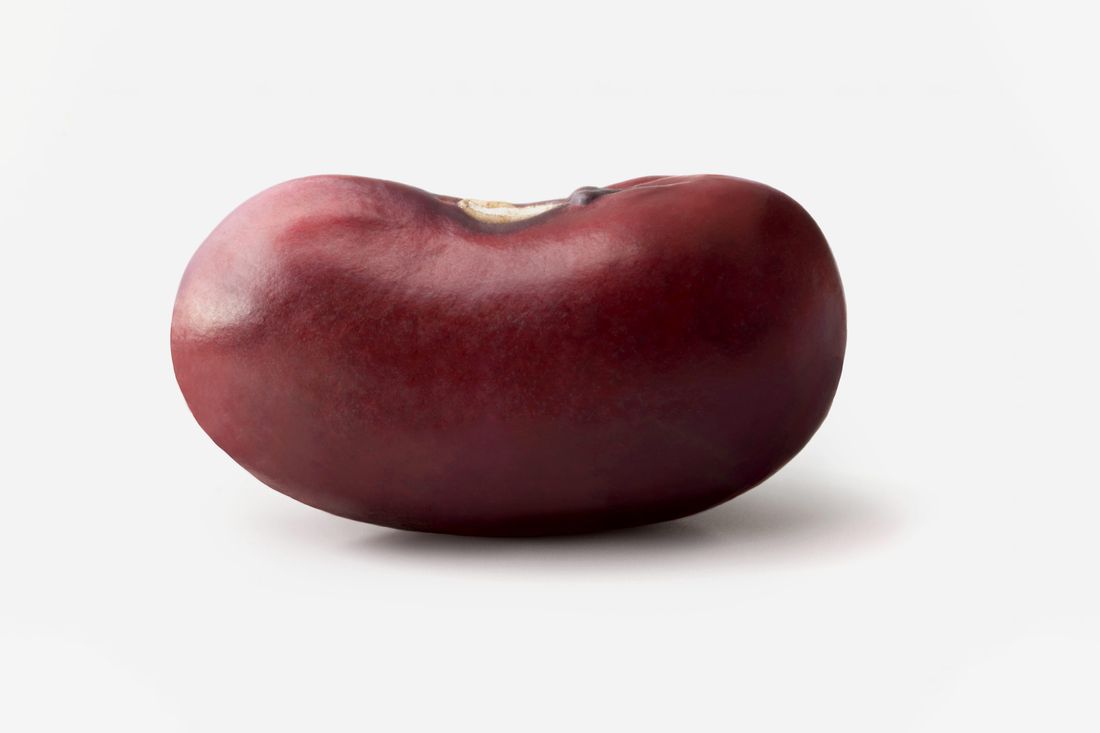 bean