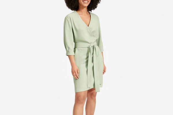 Everlane Long-Sleeve Mini Wrap Dress