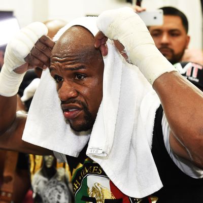 LAS VEGAS, NV - APRIL 14: WBC/WBA welterweight champion Floyd Mayweather Jr. puts a towel over his head as he works out at the Mayweather Boxing Club on April 14, 2015 in Las Vegas, Nevada. Mayweather will face WBO welterweight champion Manny Pacquiao in a unification bout on May 2, 2015 in Las Vegas. (Photo by Ethan Miller/Getty Images)